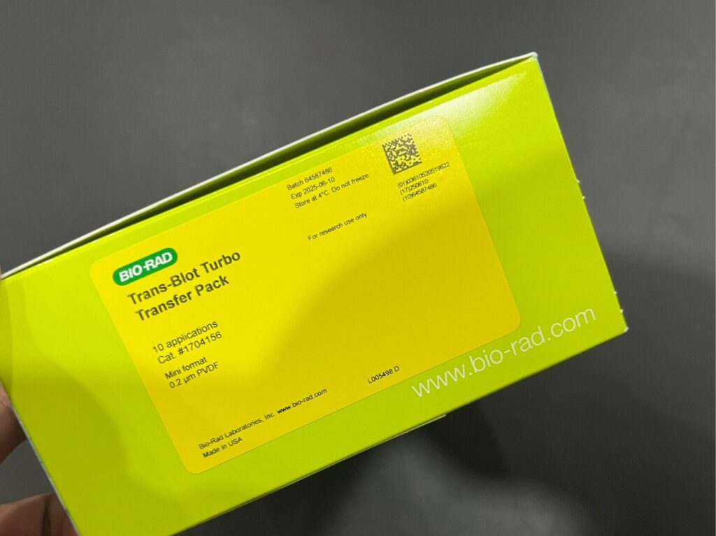 Bio-Rad 1704156 PVDF Membrane