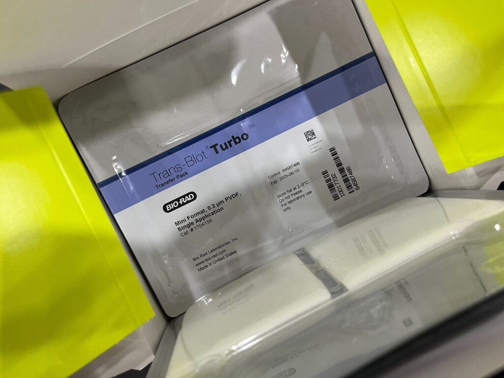 Bio-Rad 1704156 PVDF Membrane thumbnail