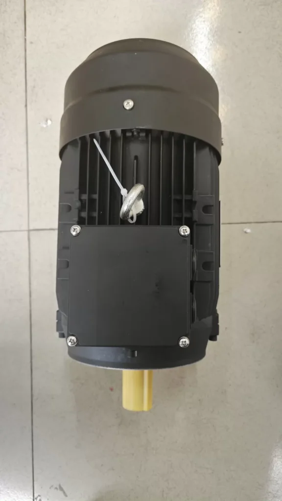 Hoyer HMA3 100L-2 Motor thumbnail