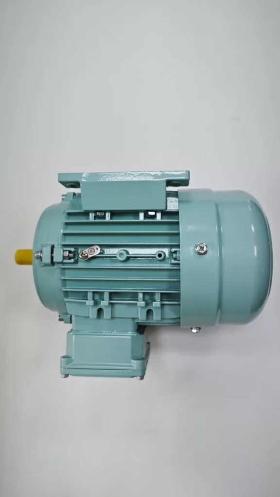 Hoyer HMA3 100L-2 Motor thumbnail