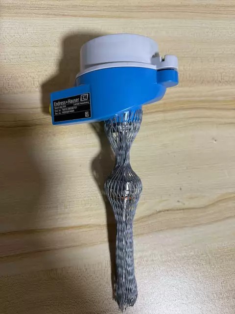 Endress+Hauser Temperature Sensor TM131-68338/101