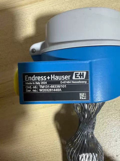 Endress+Hauser Temperature Sensor TM131-68338/101 thumbnail