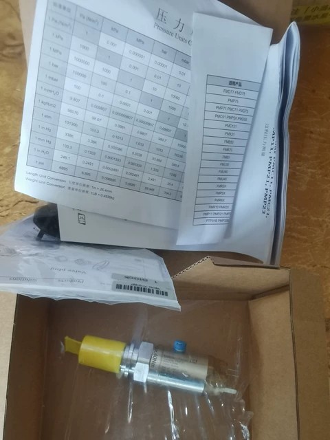 E+H Switch PMP21-AA1U1PBWJJ