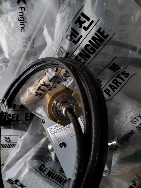 Wartsila Sensor 060N1065
