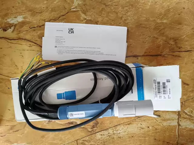 E+H Electrode CPF81-LH11C2