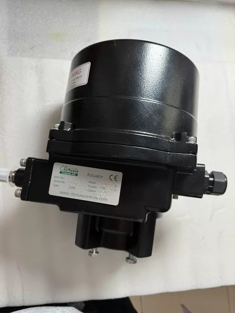 loriu Valve 5233194 thumbnail