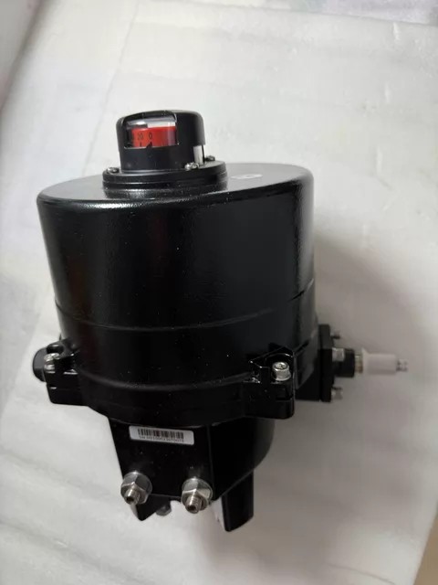 loriu Valve 5233194 thumbnail