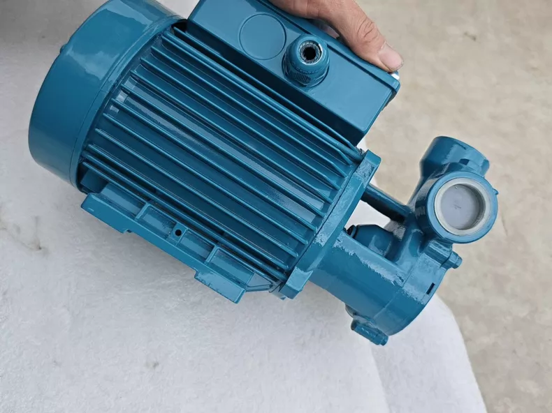 Calpeda T70/A-R Water pump thumbnail