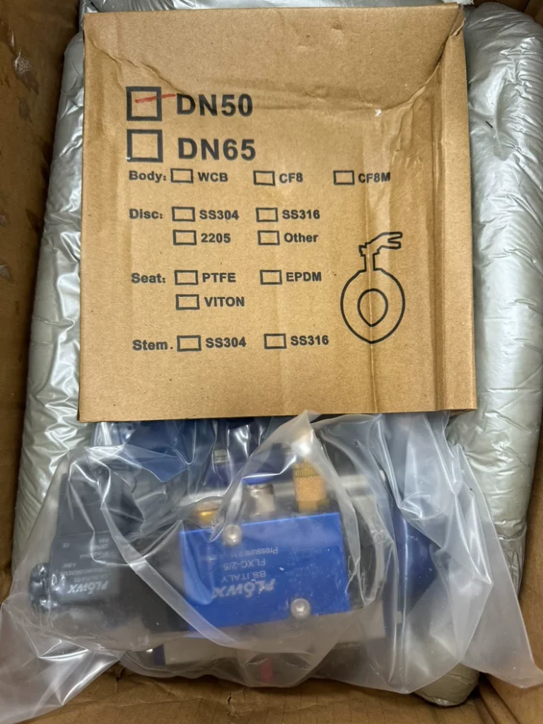 FLOWX FPI1000-13E1 Valve