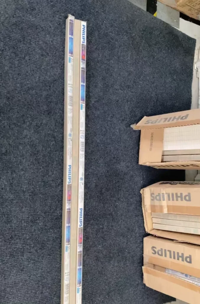 Philips 21W/865 thumbnail