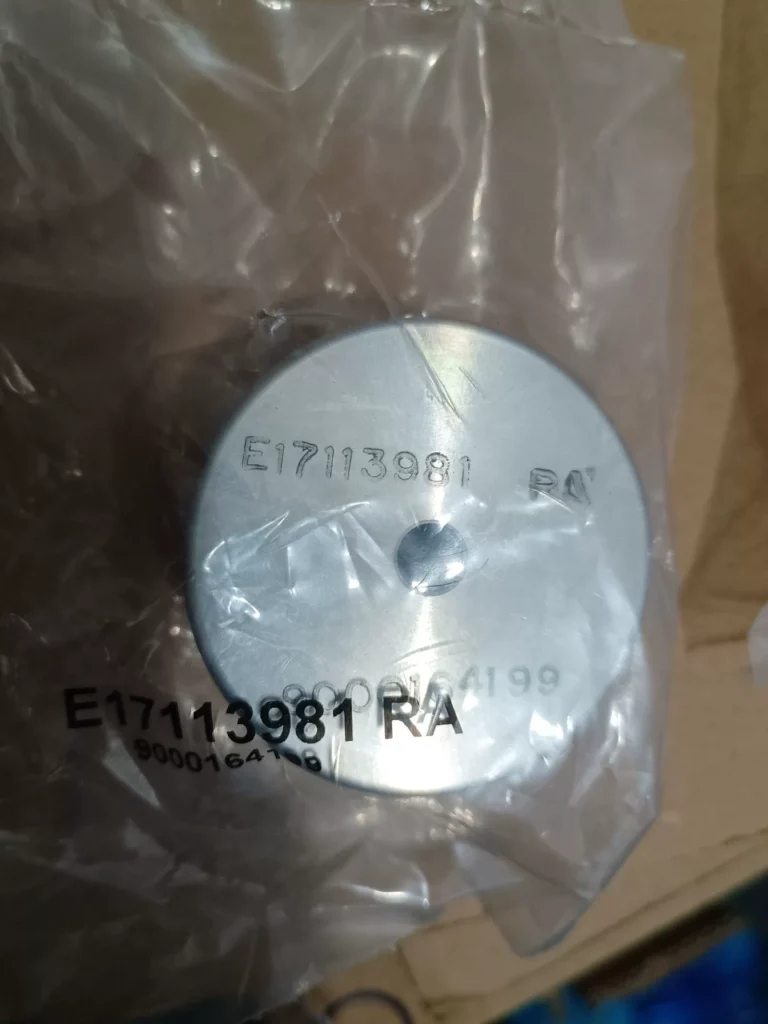 Edwards E17113981 Pump thumbnail