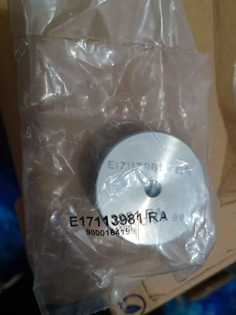 Edwards E17113981 Pump thumbnail