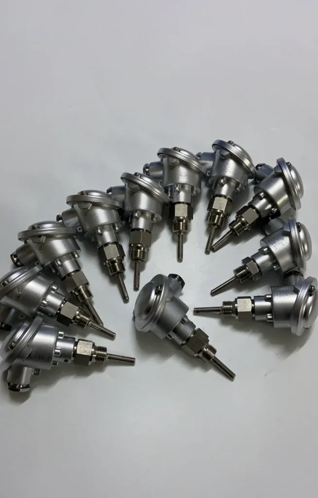 JUMO 2XPT100 Temperature Probe