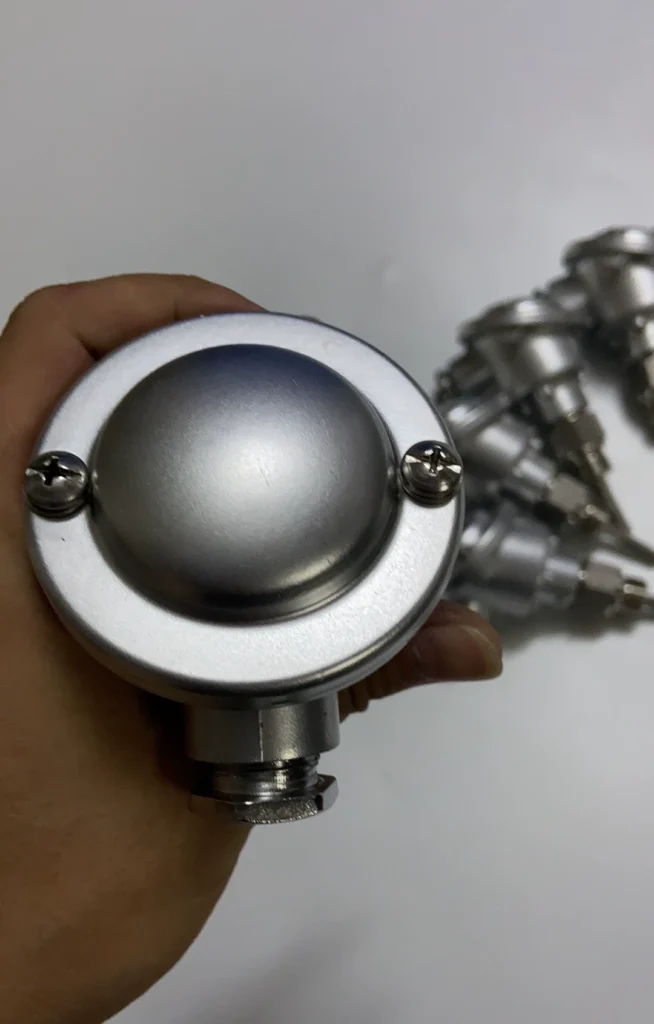 JUMO 2XPT100 Temperature Probe thumbnail
