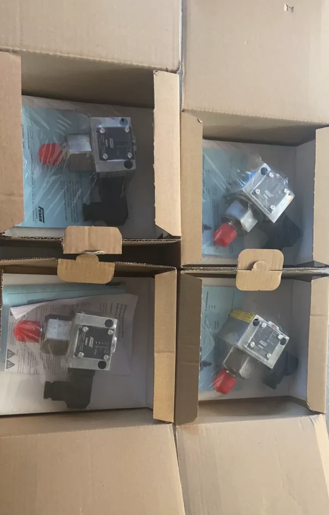 FEMA DWR1 Pressure Switch