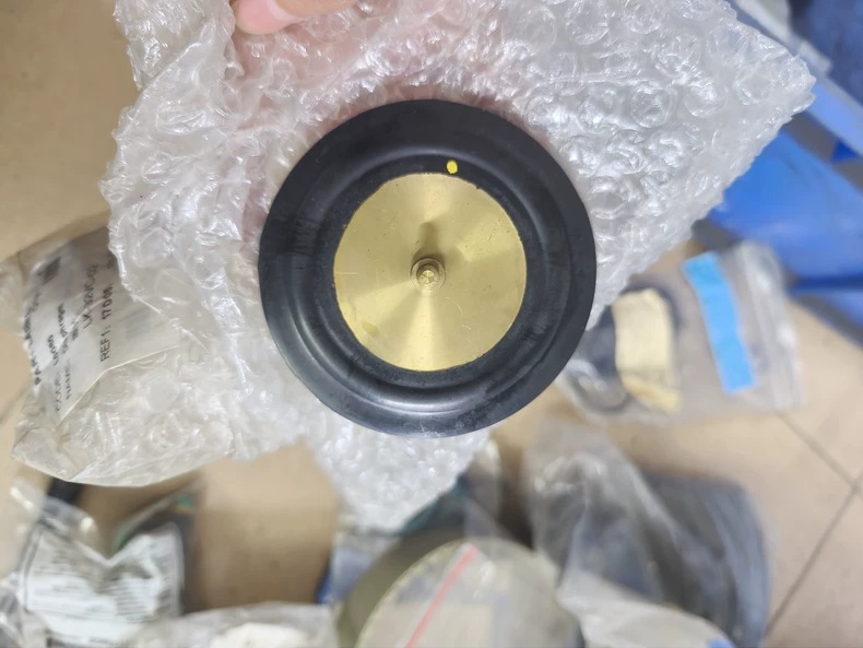 IWAKI PUMPS Pump Diaphragm L0080 thumbnail