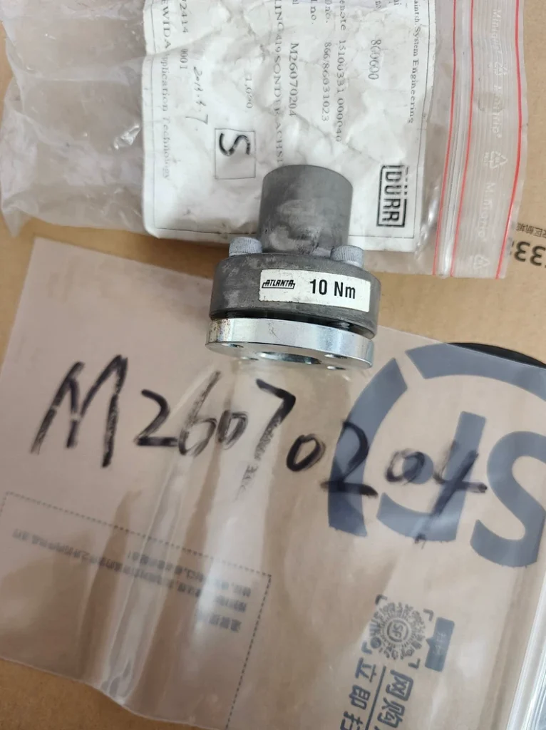 Dürr Gear Pump Rotor Assembly M26070204