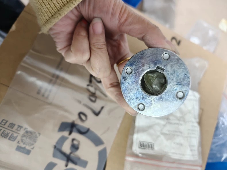 Dürr Gear Pump Rotor Assembly M26070204 thumbnail
