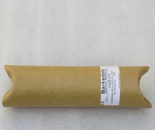 Barksdale SW2000/100B/2SP/G1/4E/F Pressure Sensor