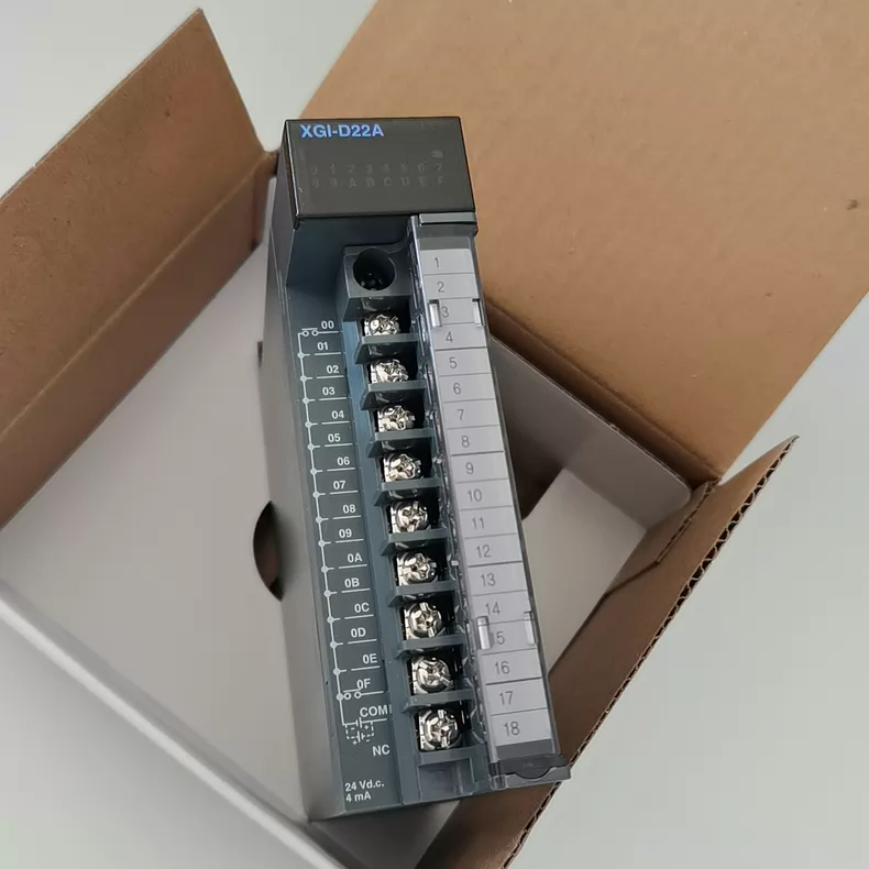 LS XGI-D22A Module thumbnail